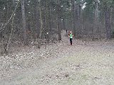 Pannekoekenmolenloop 2017 - 63.jpg